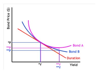 Convexity Visualized